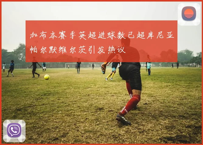 加布本赛季英超进球数已超库尼亚帕尔默维尔茨引发热议