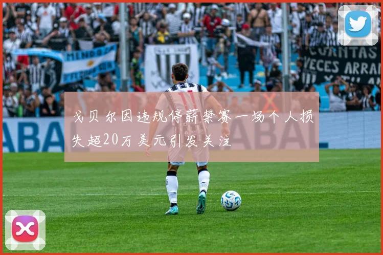 戈贝尔因违规停薪禁赛一场个人损失超20万美元引发关注