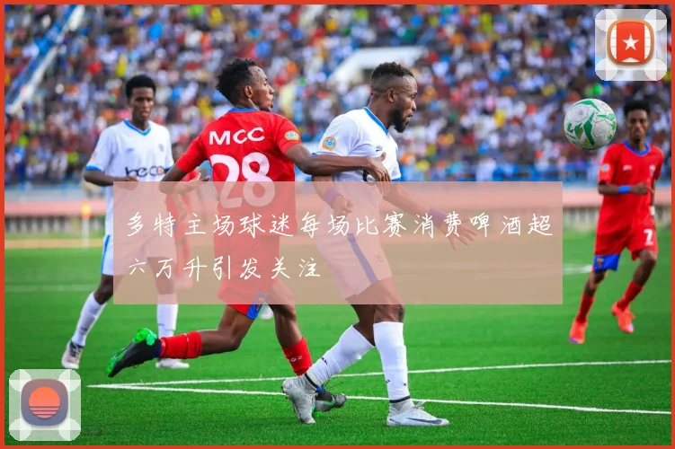 多特主场球迷每场比赛消费啤酒超六万升引发关注
