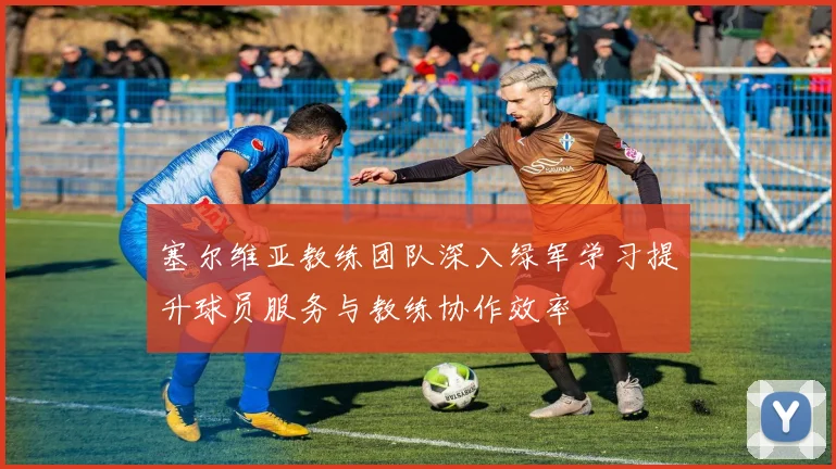 塞尔维亚教练团队深入绿军学习提升球员服务与教练协作效率