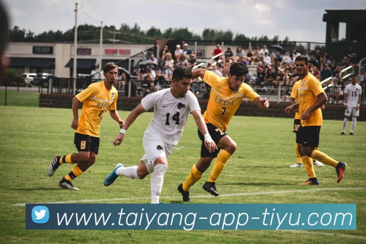 多媒体互动体验